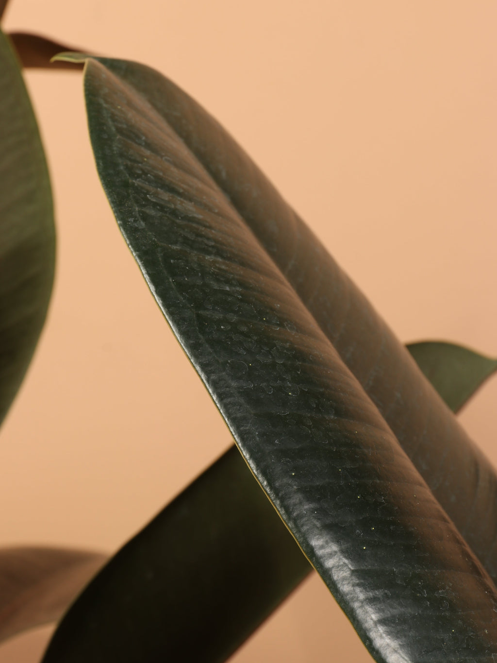 Full Size Rubber Bush